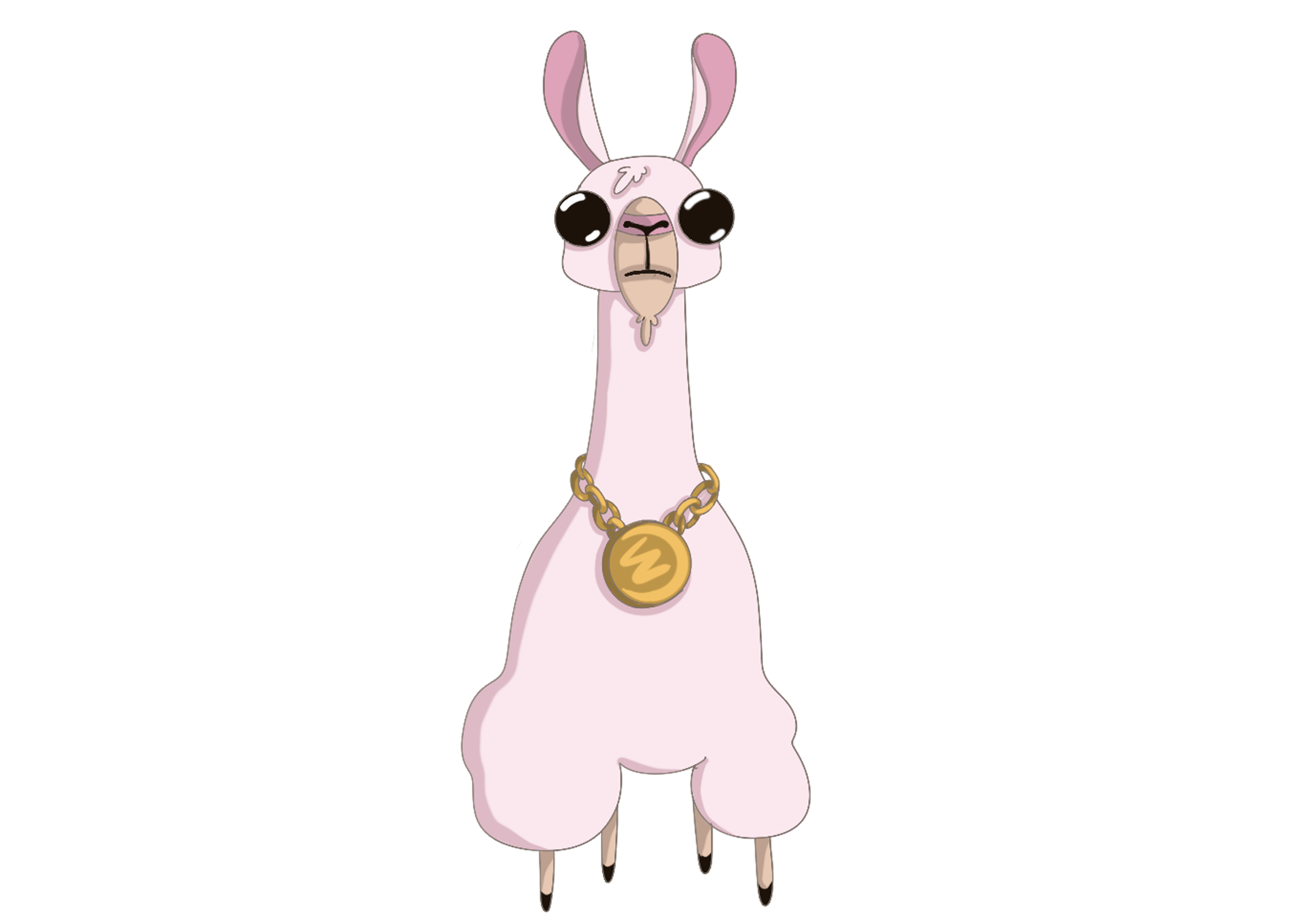 Front Full Llama